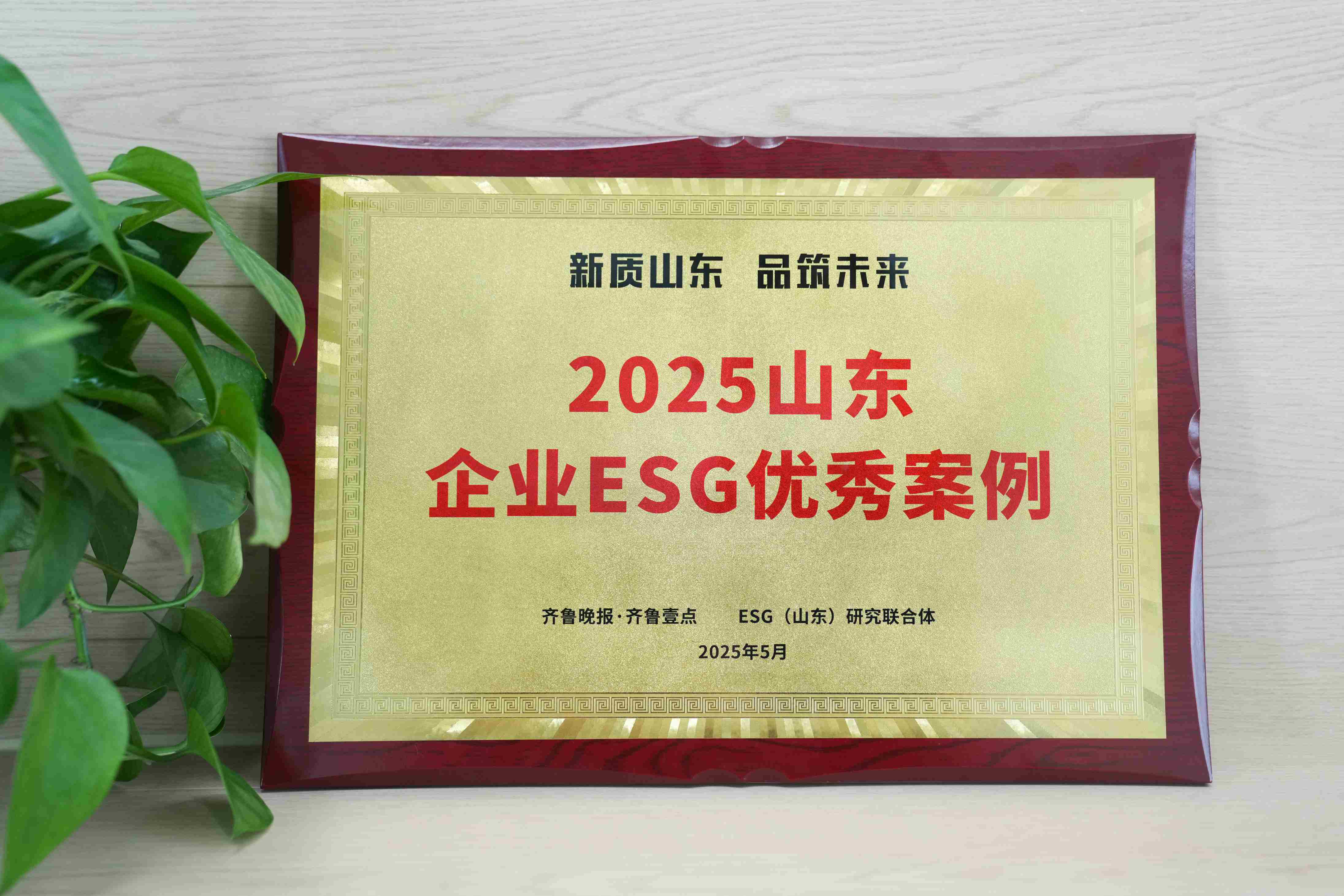 1066VIP威尼斯医疗入选2025山东企业ESG优秀案例